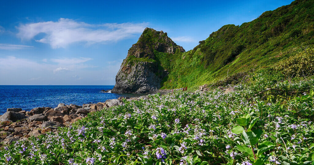 家族で糸島市へ日帰り旅行に行ってきました。